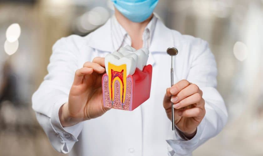 Soothing the Root: A Deep Dive into Root Canal Therapy for Pain-Free Dental Health